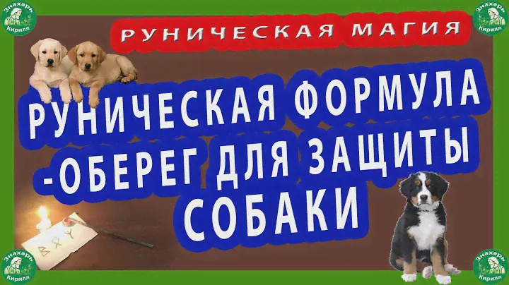 РУНИЧЕСКАЯ МАГИЯ | ФОРМУЛА-ОБЕРЕГ ДЛЯ ЗАЩИТЫ СОБАКИ.(Породистая собака)♦☮☸