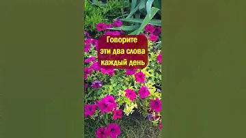 Говорите эти два слова каждый день