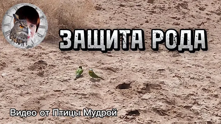 Как получить и активизировать защиту Рода