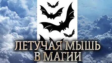 Летучая мышь. Тотем, дух и сущность летучей мыши в магии прямых порталов. (качества летучей мыши)
