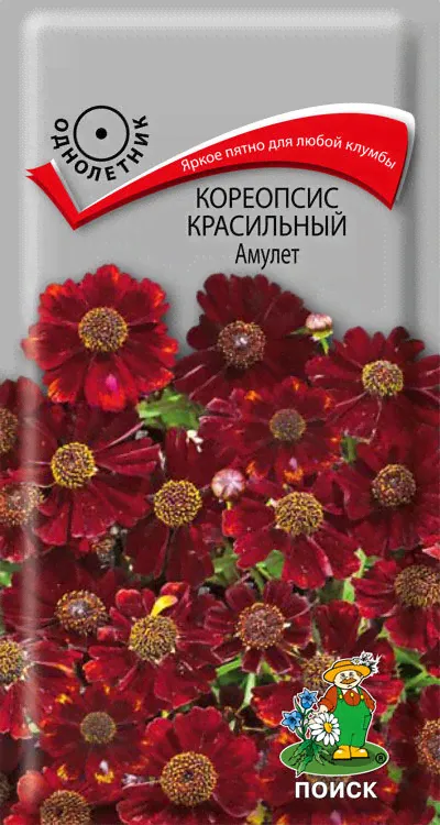 Цветы Кореопсис красильный Амулет 0,1 г ц/п Поиск (однол.)