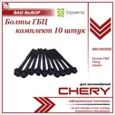Болты ГБЦ (болты головки блока цилиндров) Чери Амулет КОМПЛЕКТ 10шт. / Chery Amulet / 4801003082