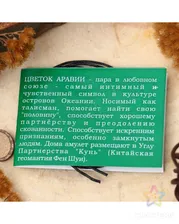 Амулет "Цветок Аравии" (помогает найти свою «половину», способствует хорошему партнёрству), длина 68см бронзового цвета