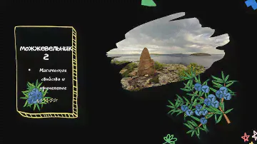 Можжевельник. Магические свойства