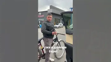 #циган #цыган #цыганеразводят #цыганский #топ #рекомендации