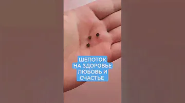 ШЕПОТОК НА ЗДОРОВЬЕ ЛЮБОВЬ СЧАСТЬЕ РИТУАЛ ОНЛАЙН ЖИЗНЬ СТАНЕТ ЛУЧШЕ МГНОВЕННО ОБРЯД